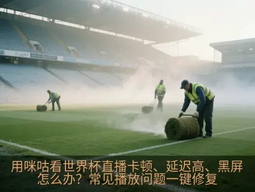 世界杯直播在线观看蜘蛛直播卡顿延迟怎么办